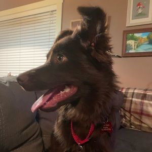 Meet your Posher, Lee